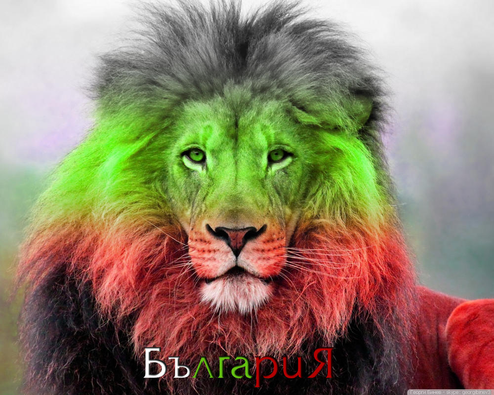 http://pre15.deviantart.net/2e24/th/pre/f/2013/310/5/6/bulgarian_lion_5_wallpaper_1280x1024_by_gbinev-d6t8waw.jpg