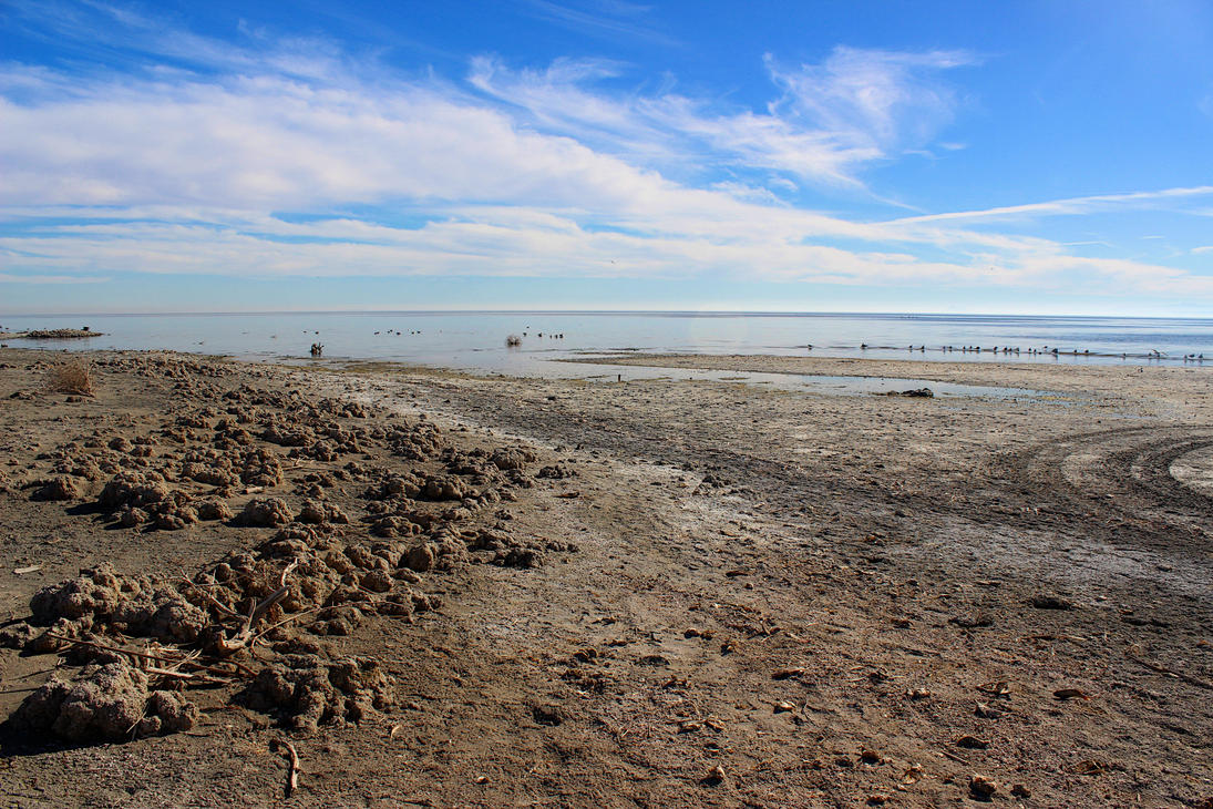 Shore of the Salton Sea