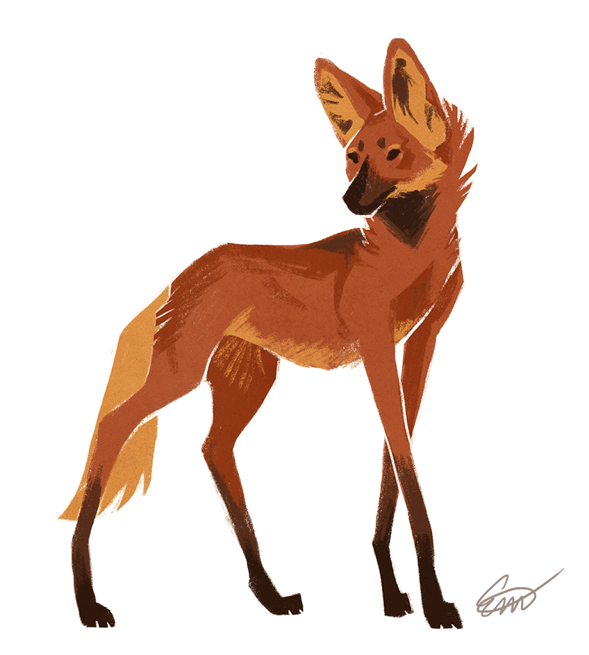 wolves tumblr drawings by Maned Wolf Makirou DeviantArt on
