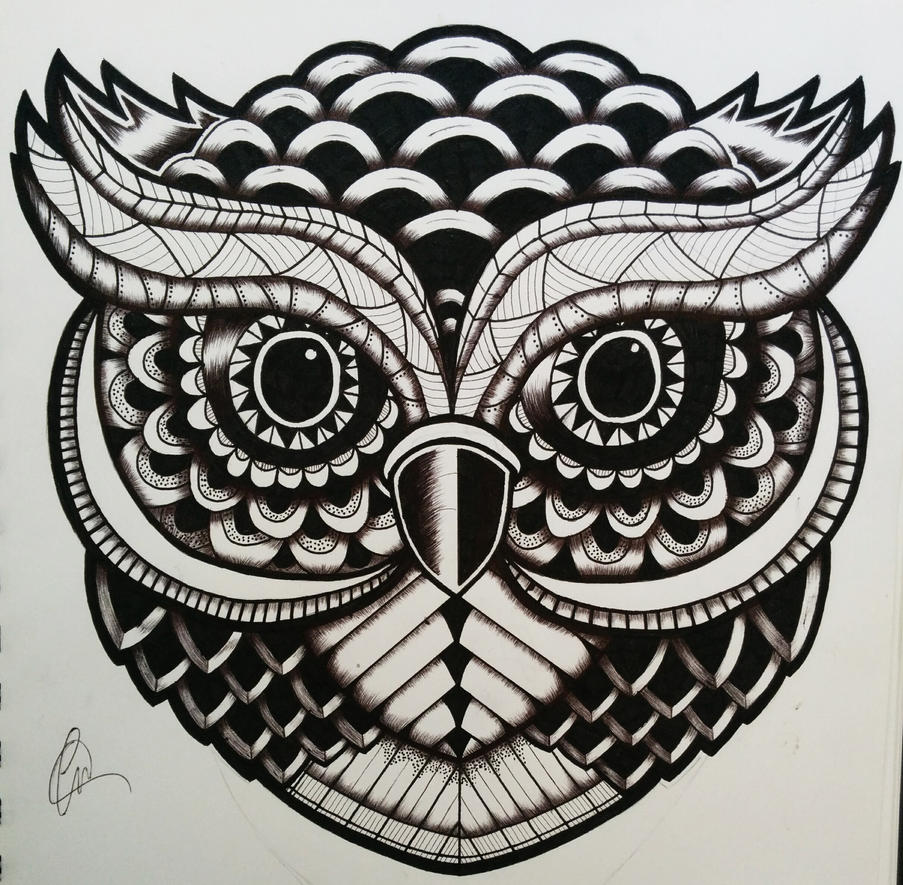 zentangle owl coloring pages - photo #28