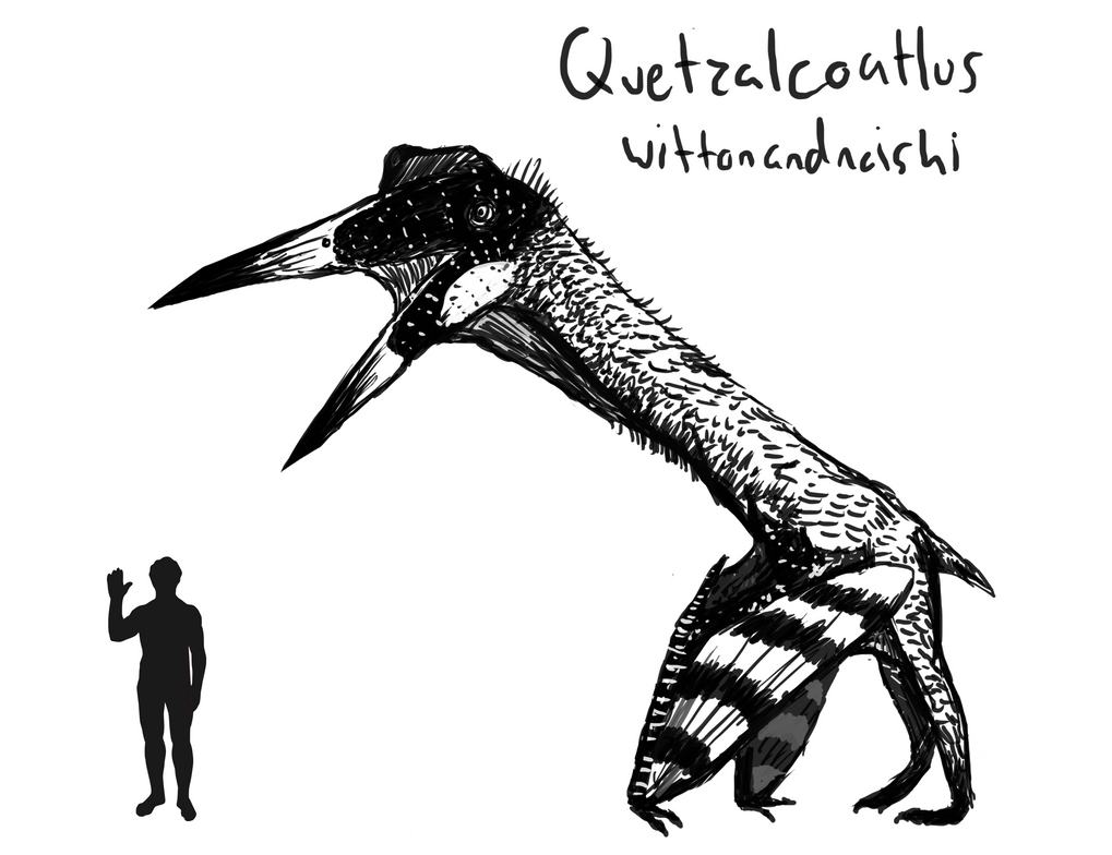 quetzalcoatlus coloring pages - photo #18