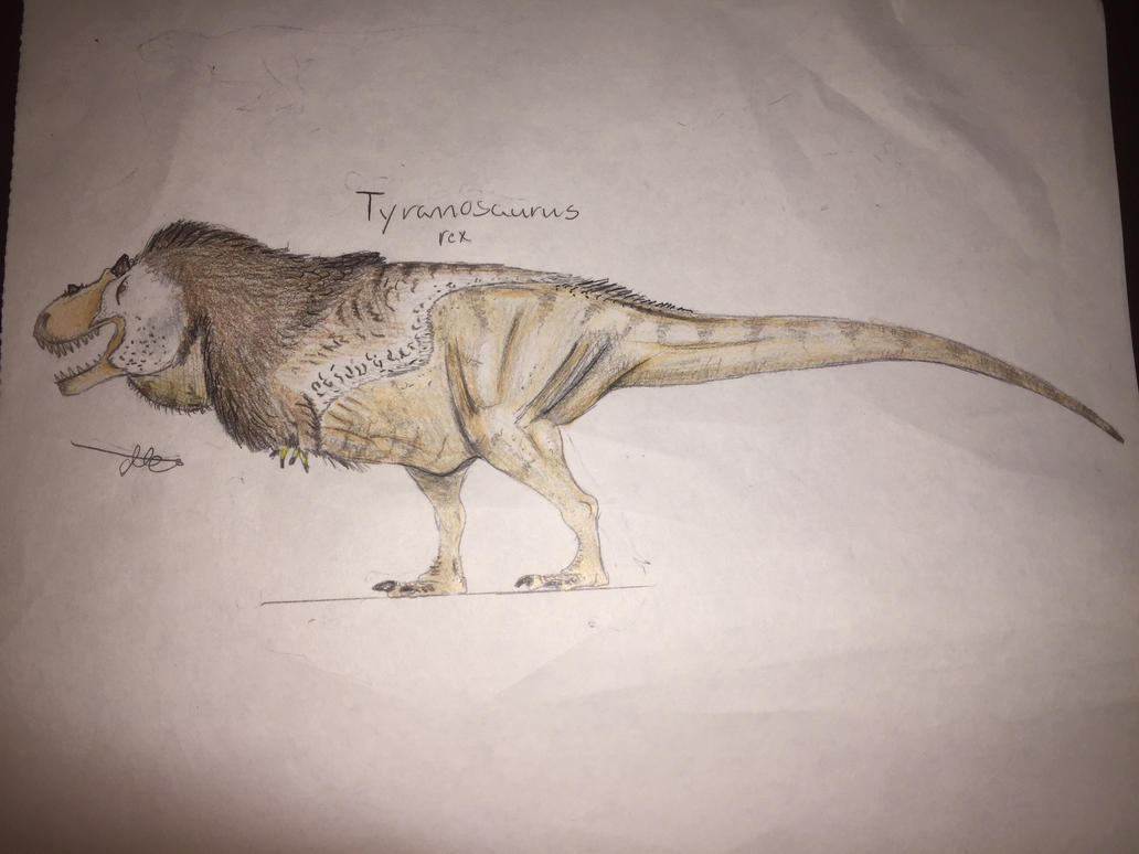 30 Days of Dinosaurs: T. rex reconstruction part 2 by CoelurosaurianArtist